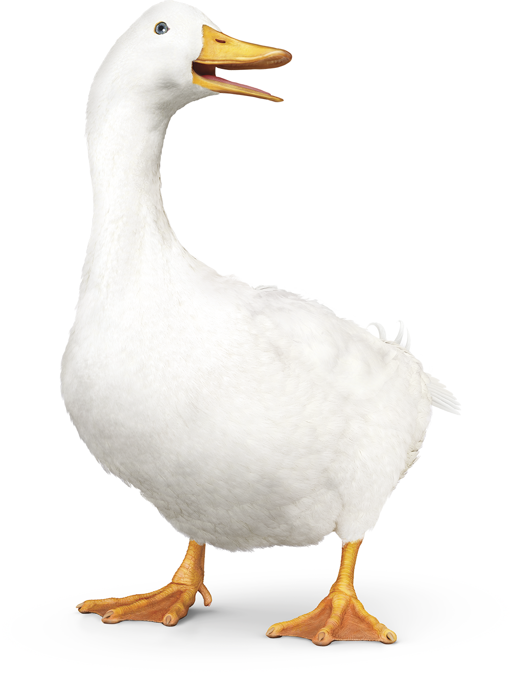 Aflac Duck